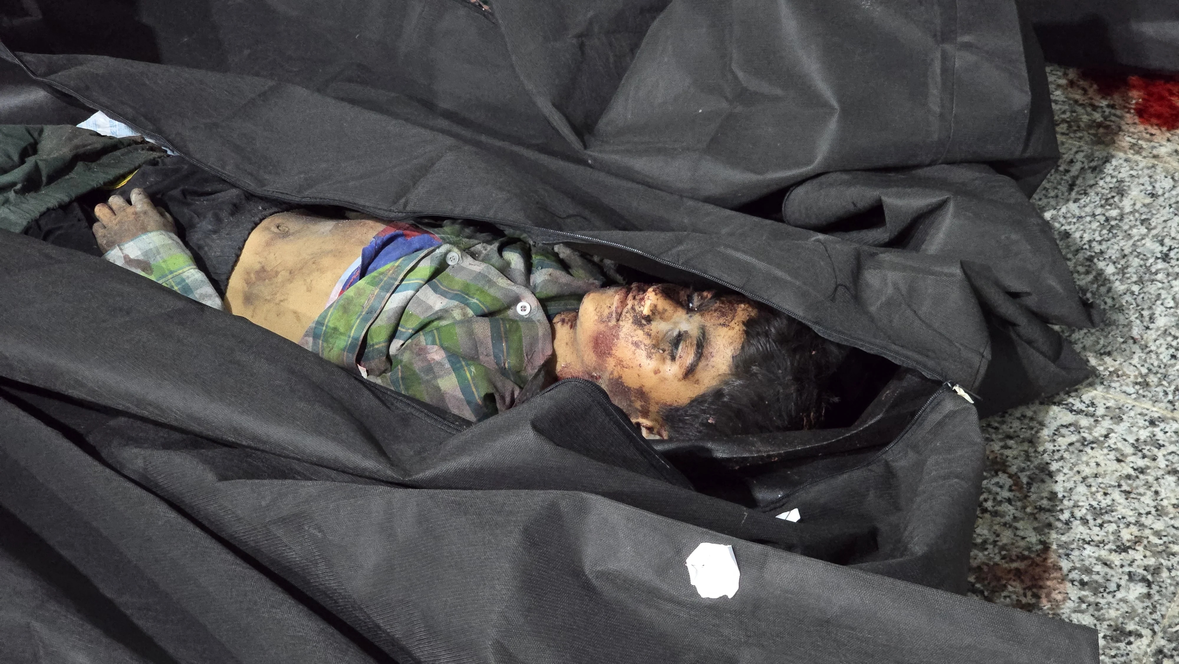 A child of Shajareh Tayyebeh