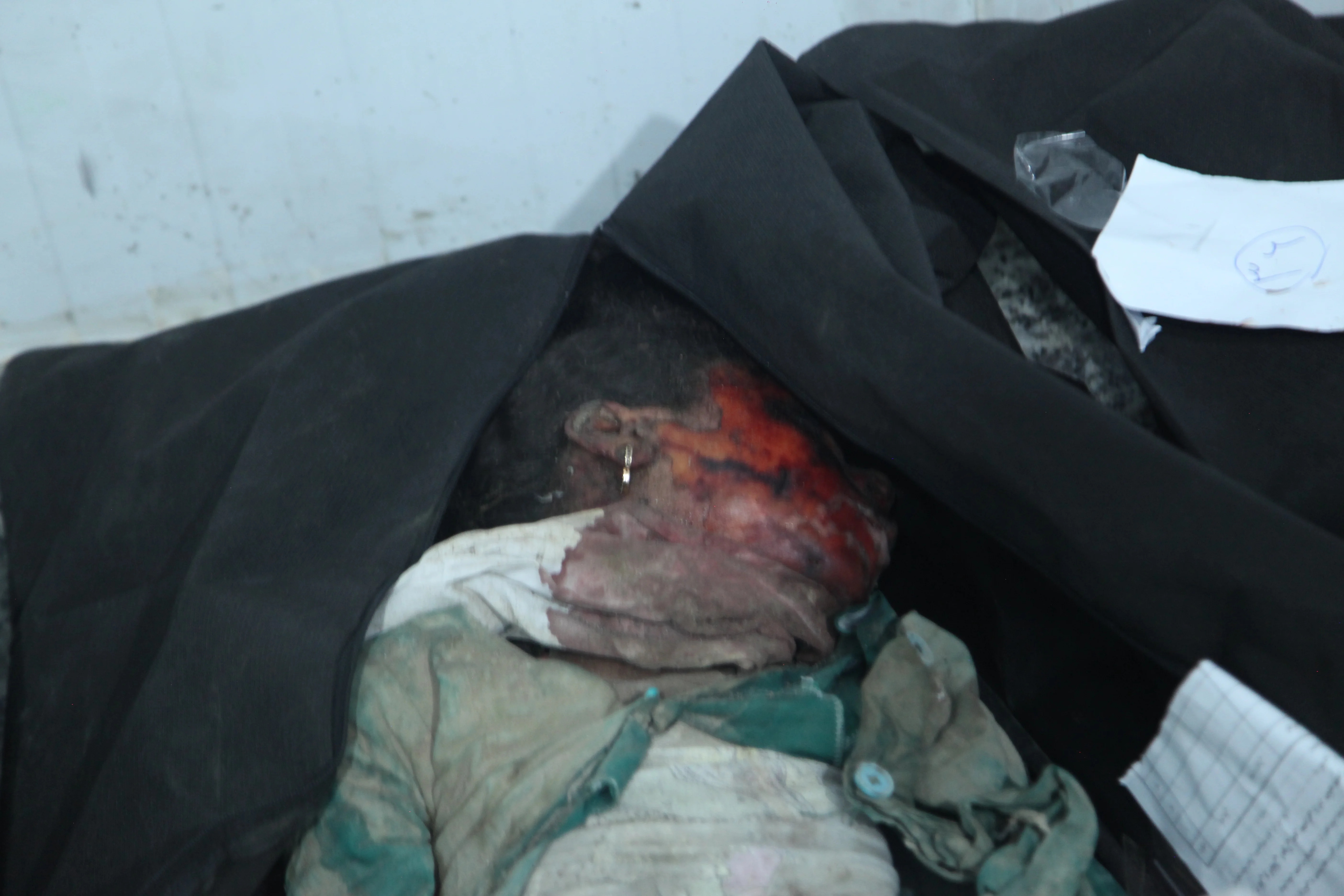 A child of Shajareh Tayyebeh