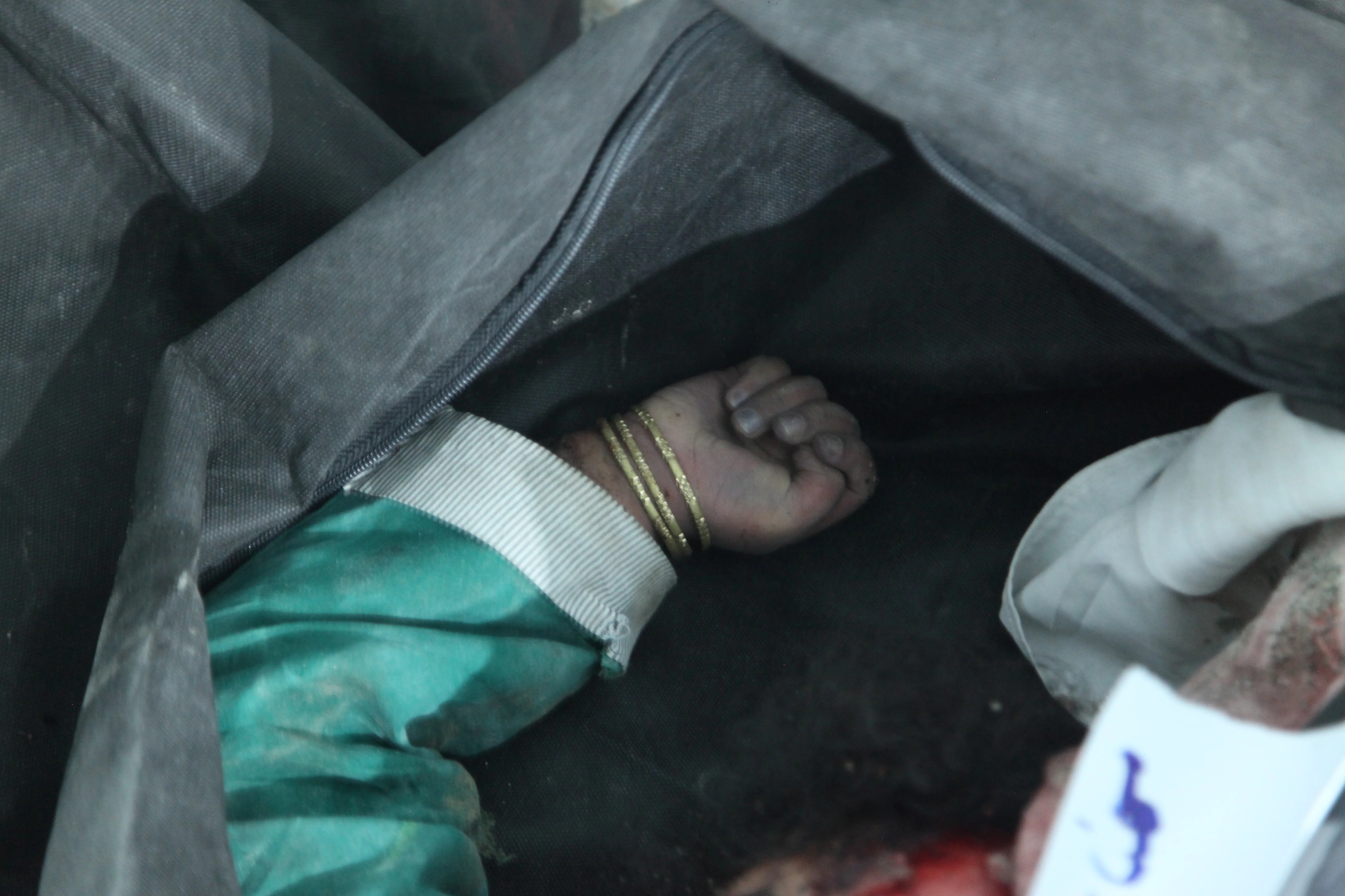 A child of Shajareh Tayyebeh
