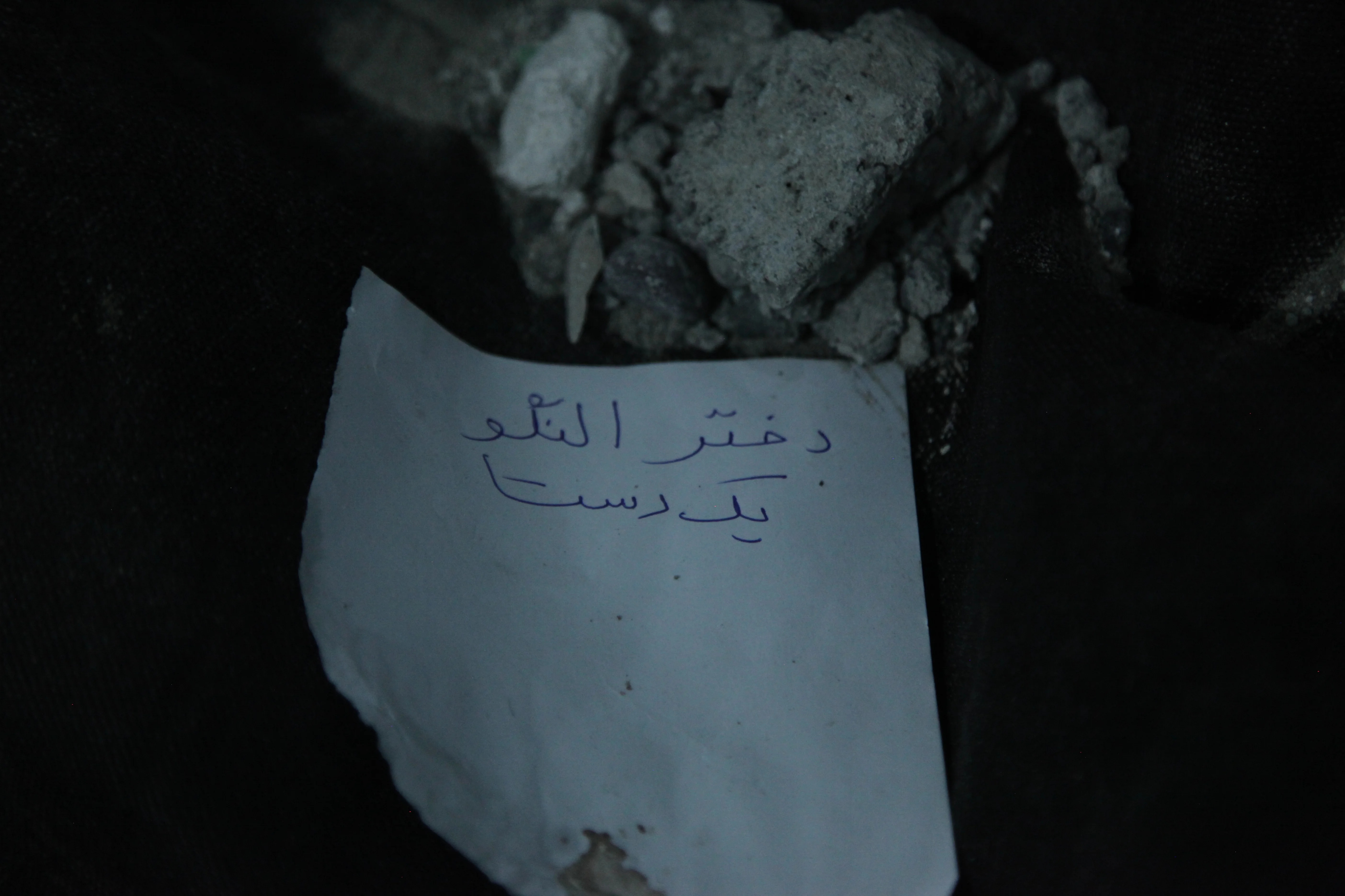 A child of Shajareh Tayyebeh