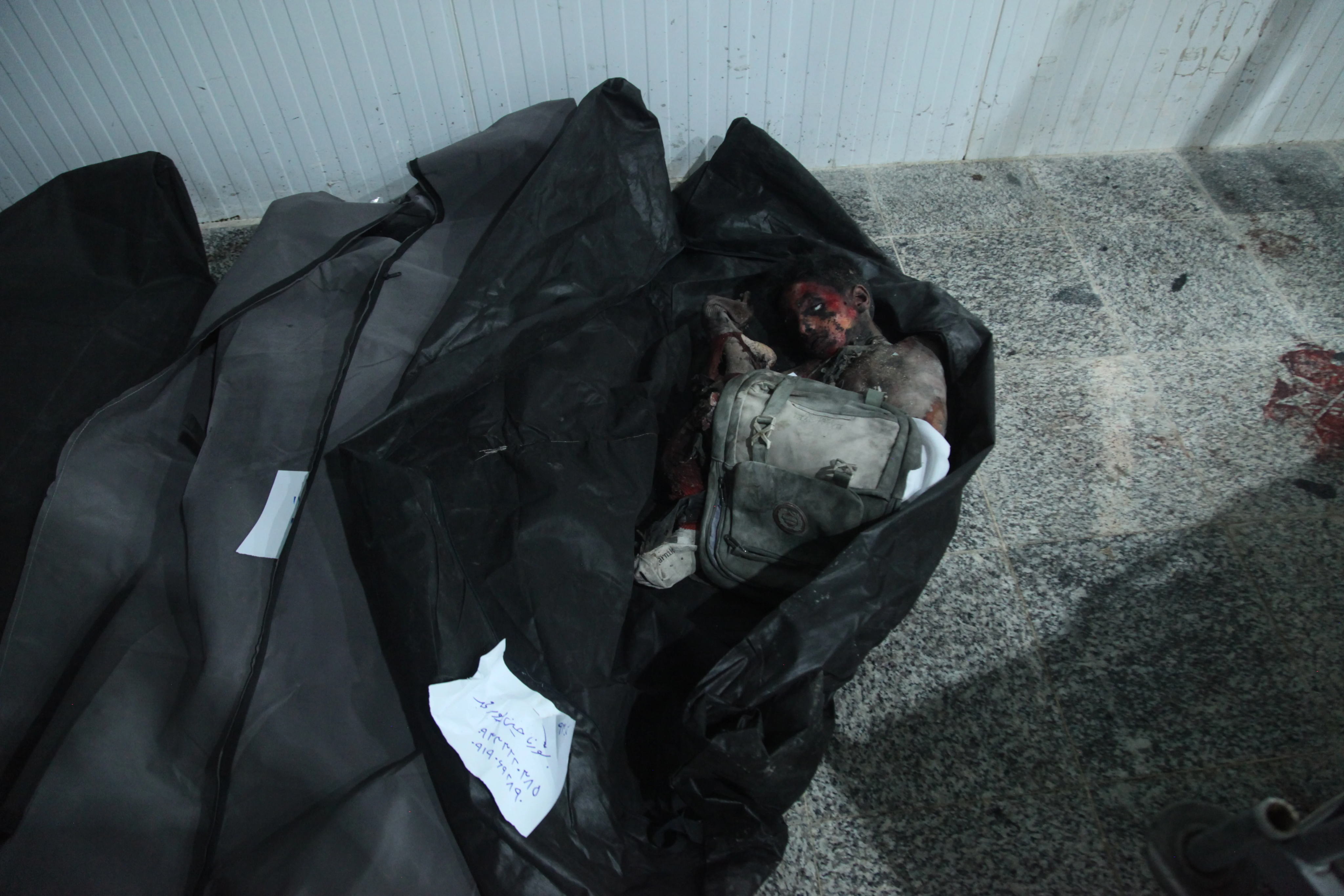 A child of Shajareh Tayyebeh