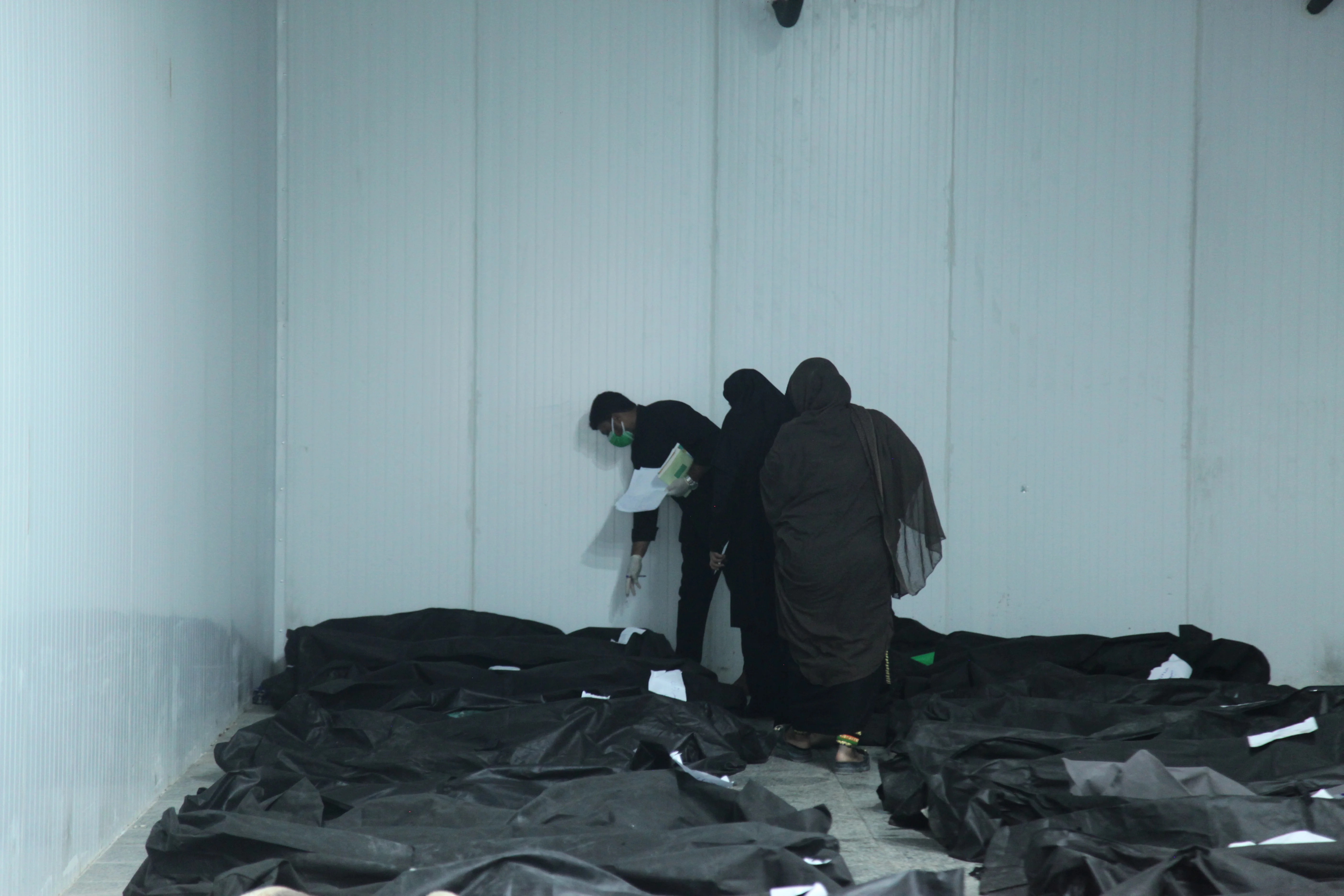 A child of Shajareh Tayyebeh